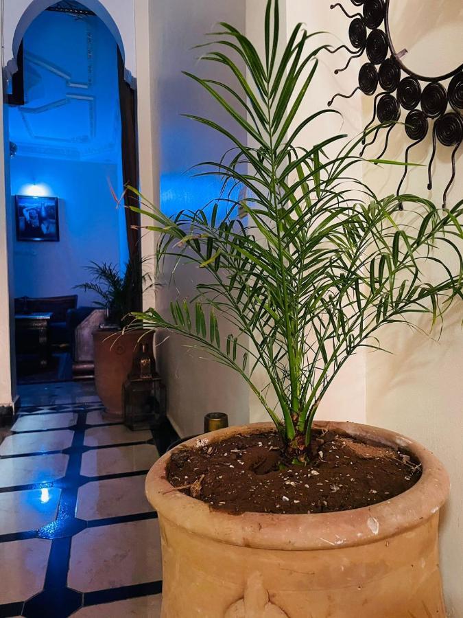 Riad Ms Holidays Terrasse Privatise Marrakech Marraquexe Exterior foto