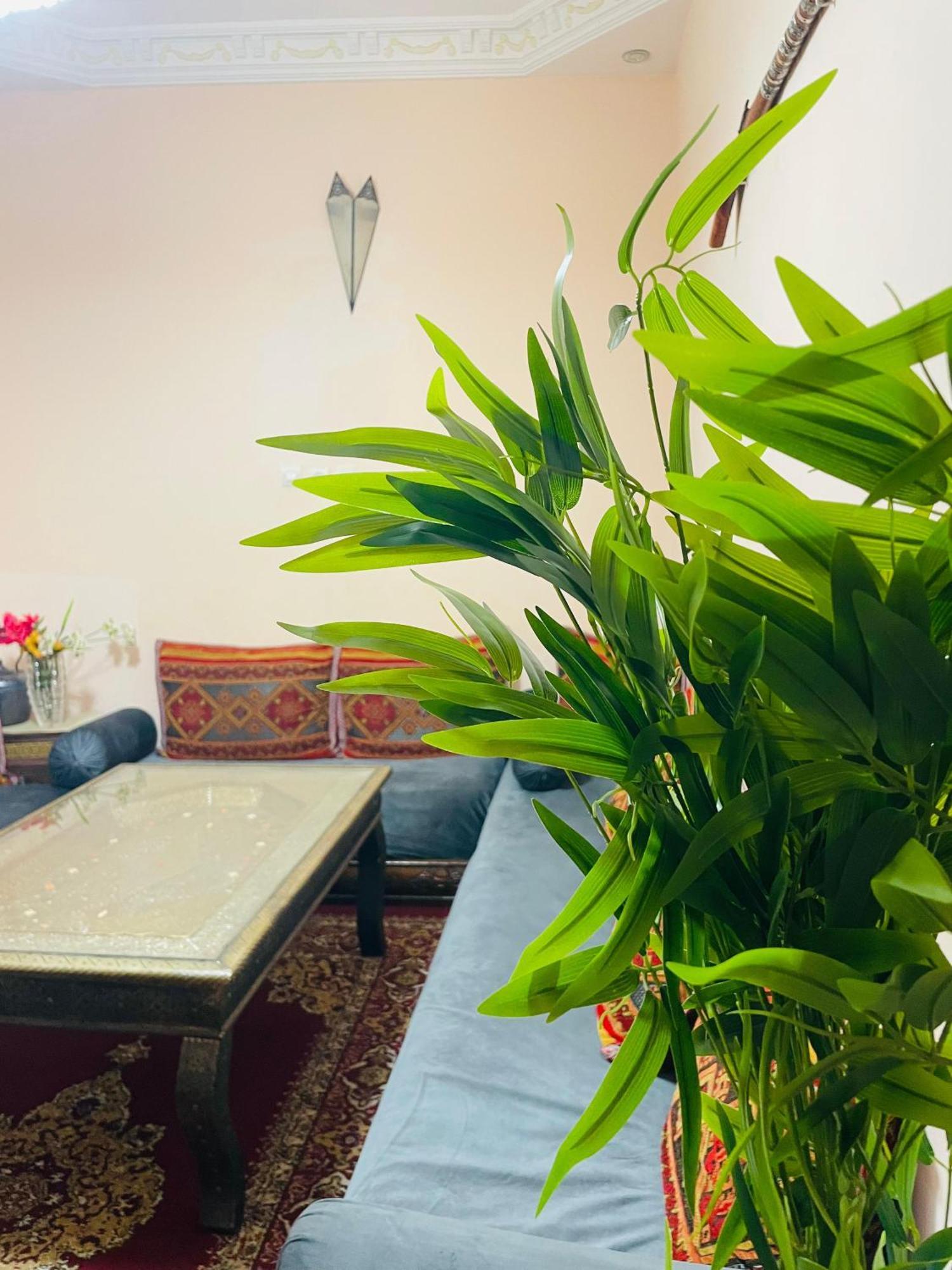 Riad Ms Holidays Terrasse Privatise Marrakech Marraquexe Exterior foto